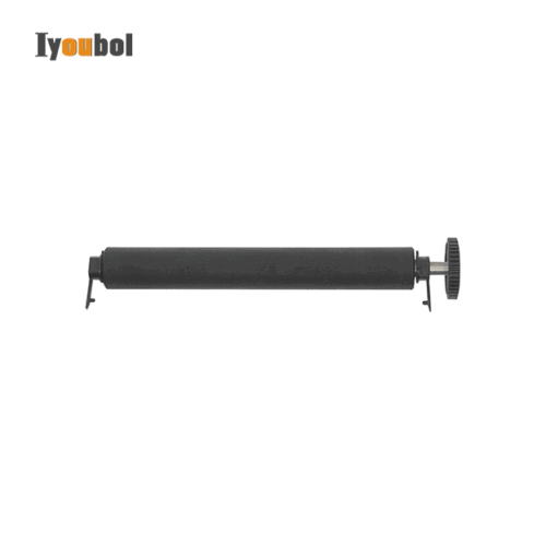 Platen, Std with bearings for LP2844 (105910-001)